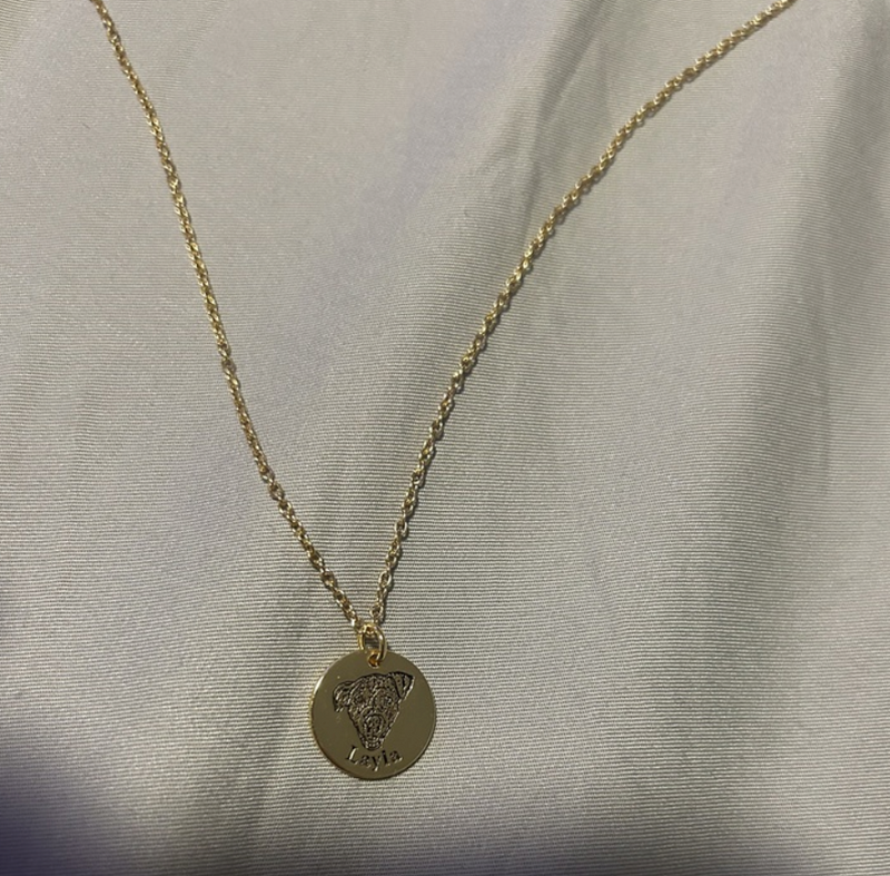 Engraved pet portrait pendant