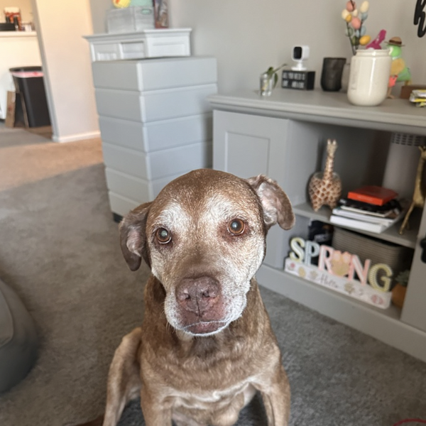 Customer photo with Pawloom necklace